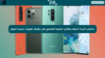 «عاجل الآن» الدولار مقابل الجنيه المصري هل يشهد تغيرات جديدة اليوم